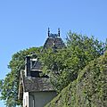 _DSC0133