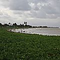 KOUROU VA229