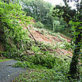 P1020244
