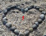 coeur