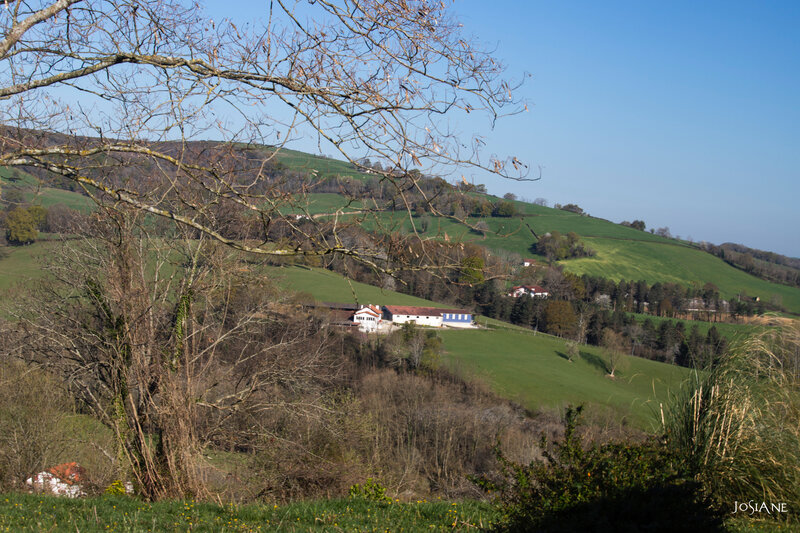 21032019-_MG_5043