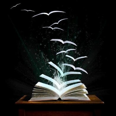 livres qui s'envolent
