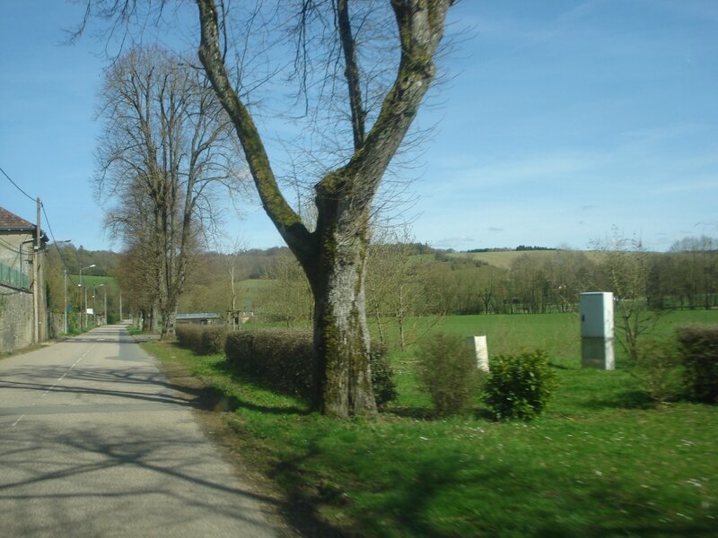 DSC06353