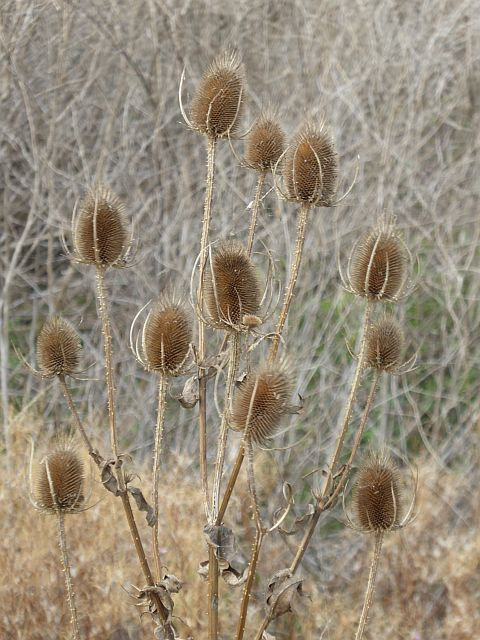 0 50