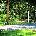 IMG_2260