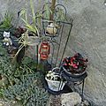 _DSC0012