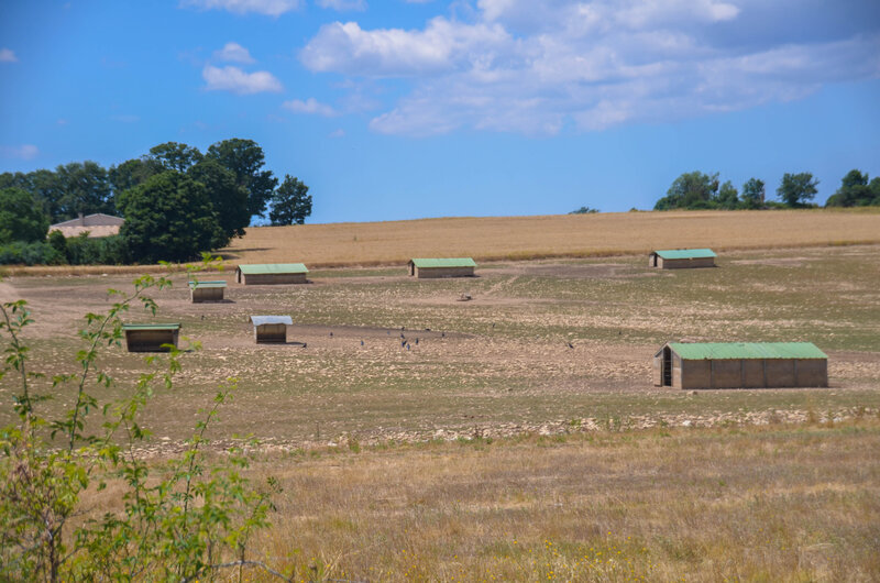 DSC_8265
