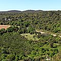 IMG_2602