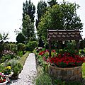 IMGP5480