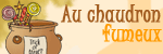 Chaudron__150_50_