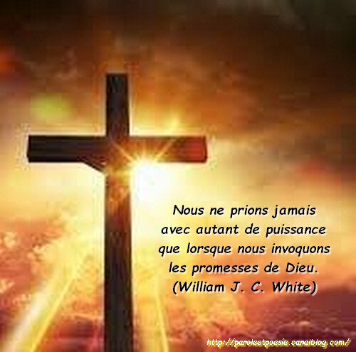 Invoquer Les Promesses De Dieu Wiliam J C White Citation Vois Et Viens