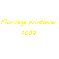 Florilège printanier 2007