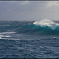 WINDSURF SAUVAGE ISULA DI CORSICA