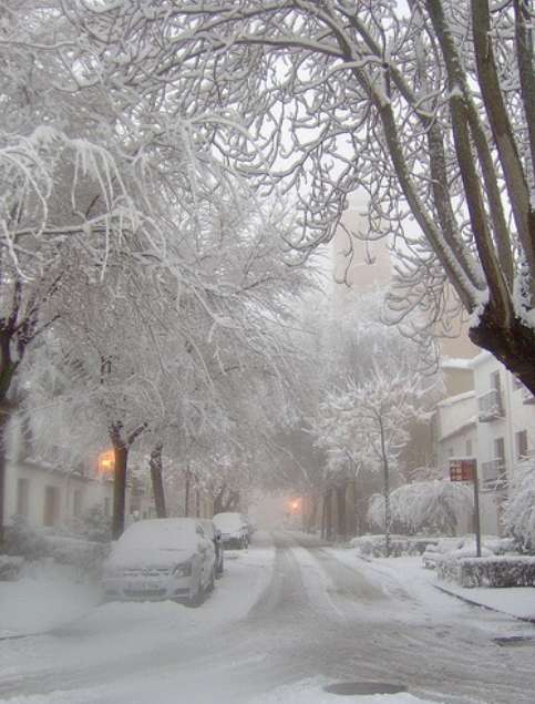 LA NEIGE BY pint i (2)