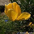 DSC04311