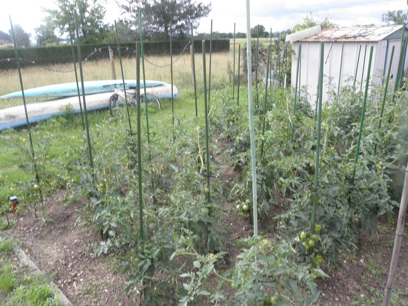 le jardin 005