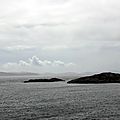 IMG_5105 - Copie
