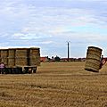 IMG_4468