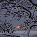 neige&