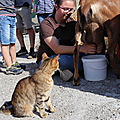 IMG_1384