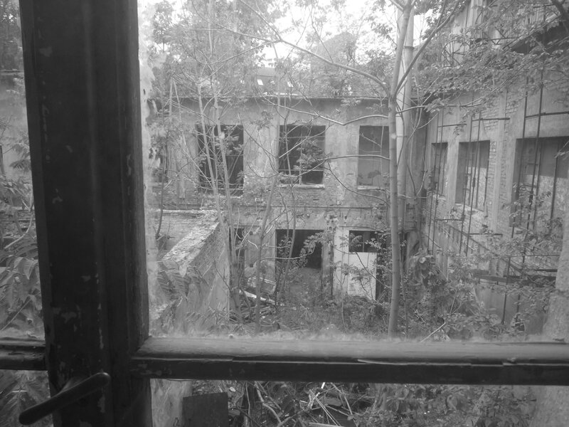 P1100090
