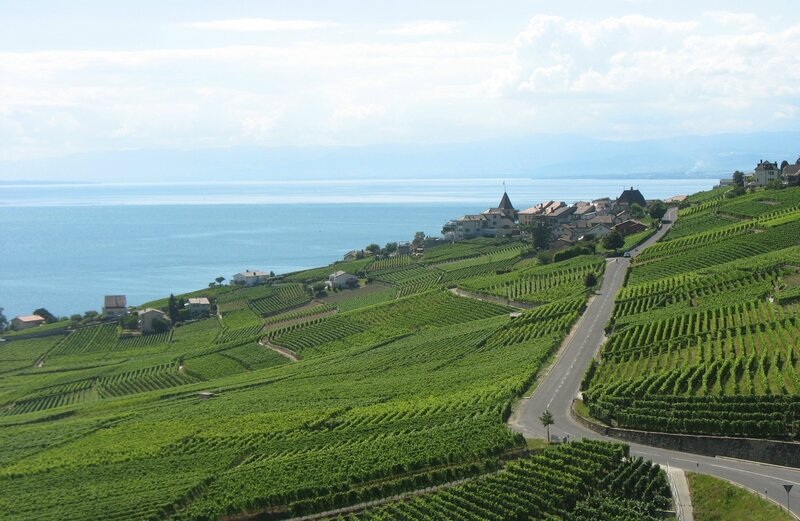 Rivaz, village, route, vignes et lac Leman (Suisse)