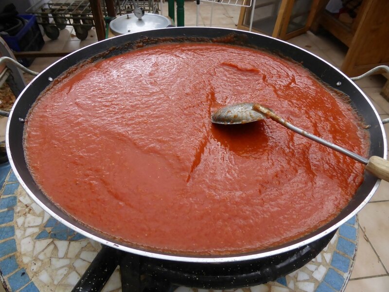 4-tomates, sauce tomate (9)