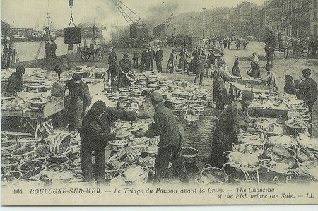 Triage_du_poisson