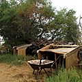 IMG_0026