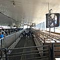 IMG_0674