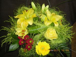 IMGP0136